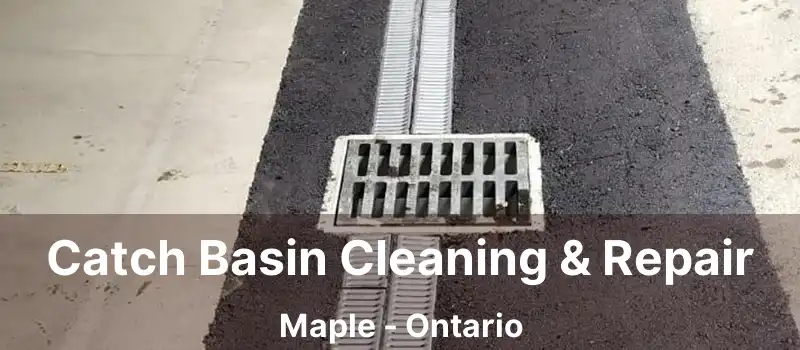  Catch Basin Cleaning & Repair Maple - Ontario