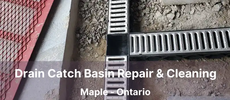  Drain Catch Basin Repair & Cleaning Maple - Ontario