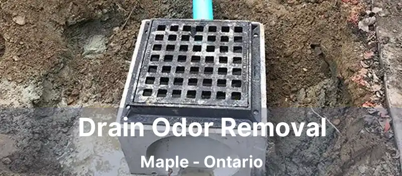 Drain Odor Removal Maple - Ontario