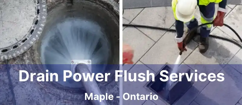 Drain Power Flush Services Maple - Ontario