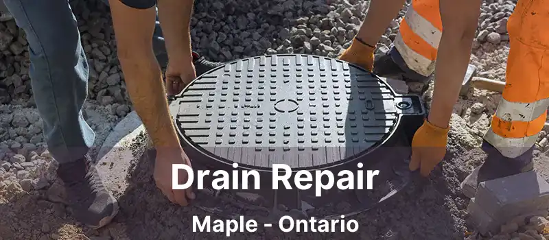  Drain Repair Maple - Ontario
