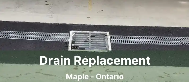  Drain Replacement Maple - Ontario