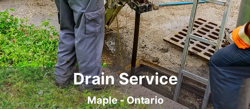 Drain Service Maple - Ontario