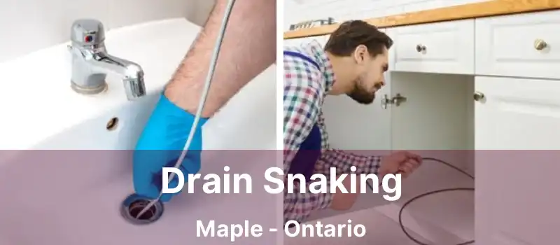  Drain Snaking Maple - Ontario